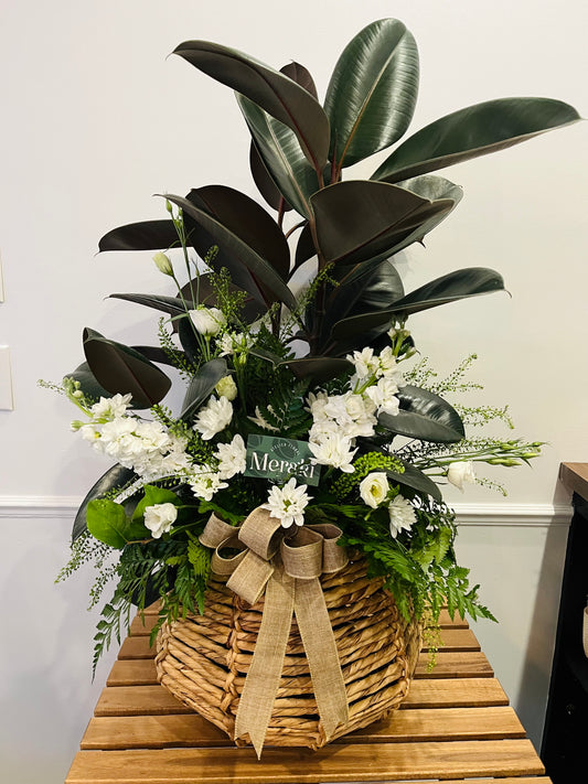 Arrangement funéraire – Plante d’intérieur 10 po avec cache-pot + fleurs
