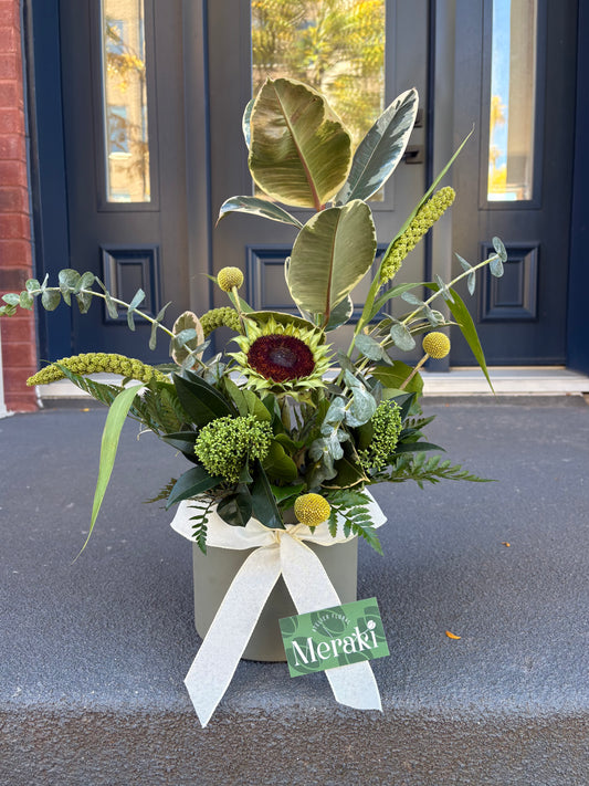 Arrangement funéraire – Plante d’intérieur 6 po avec cache-pot + fleurs